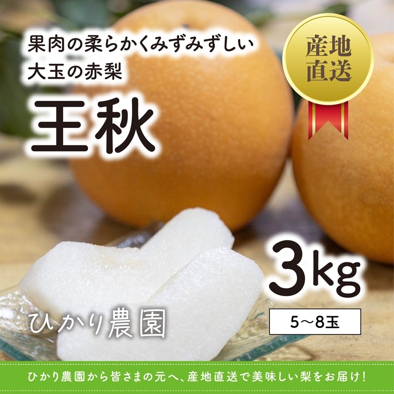 秀品・贈答用 王秋梨 3kg（5-8玉） ｜鳥取の特産品お取り寄せ