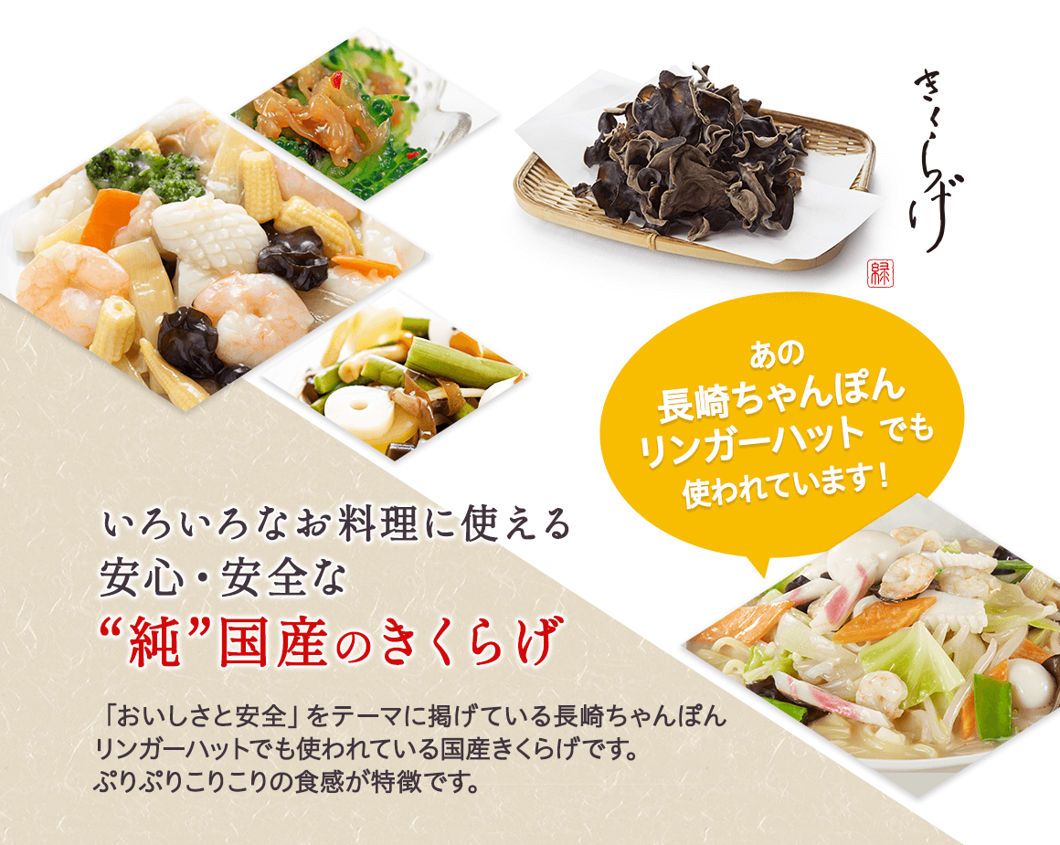 純国産 有機JAS認証 スライス乾燥きくらげ1kg 【緑工房】 ｜鳥取の特産