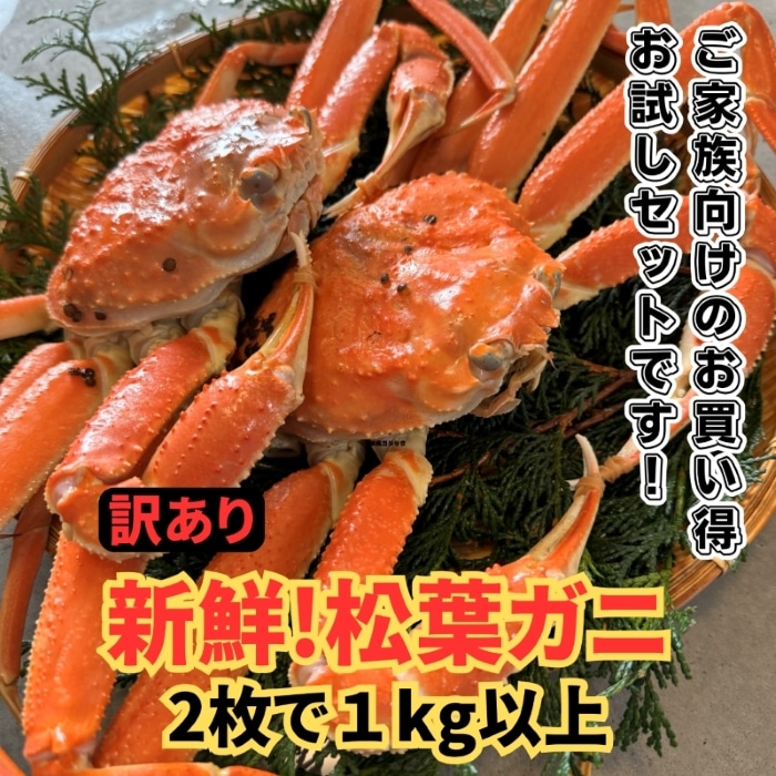 数量限定特価！◇訳あり◇新鮮松葉ガニ1kgセット【2枚】【さかなや新鮮