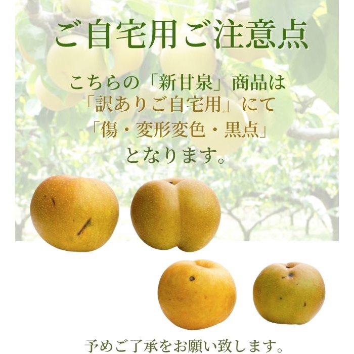 新甘泉梨・二十世紀梨 ペアセット（訳あり ご自宅用）5kg（10－20玉