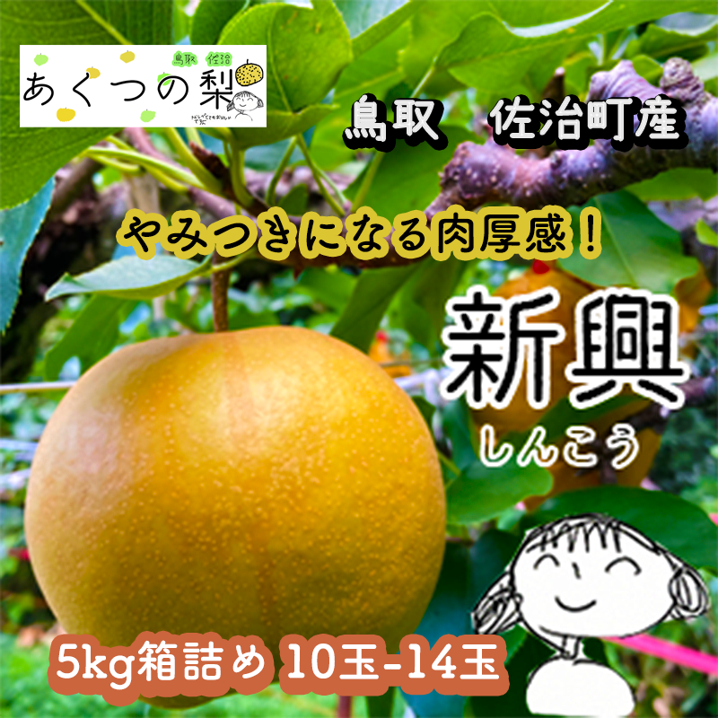 薪用の梨の玉切り 3トン 5月連休までに引取り限定(福島市) 条件付 薪用の梨の玉切り 3トン 5月連休までに引取り限定(福島市)