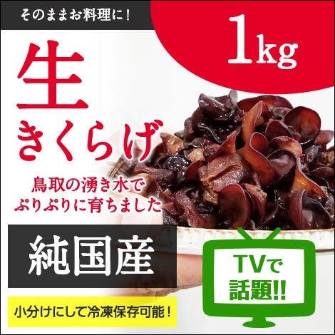 きくらげ 純国産 生きくらげ1kg 【緑工房】 ｜鳥取の特産品お取り寄せ通販｜とっ