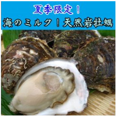 夏限定！海のミルク『天然岩牡蠣』1kg以上【3-5個】 【さかなや新鮮組