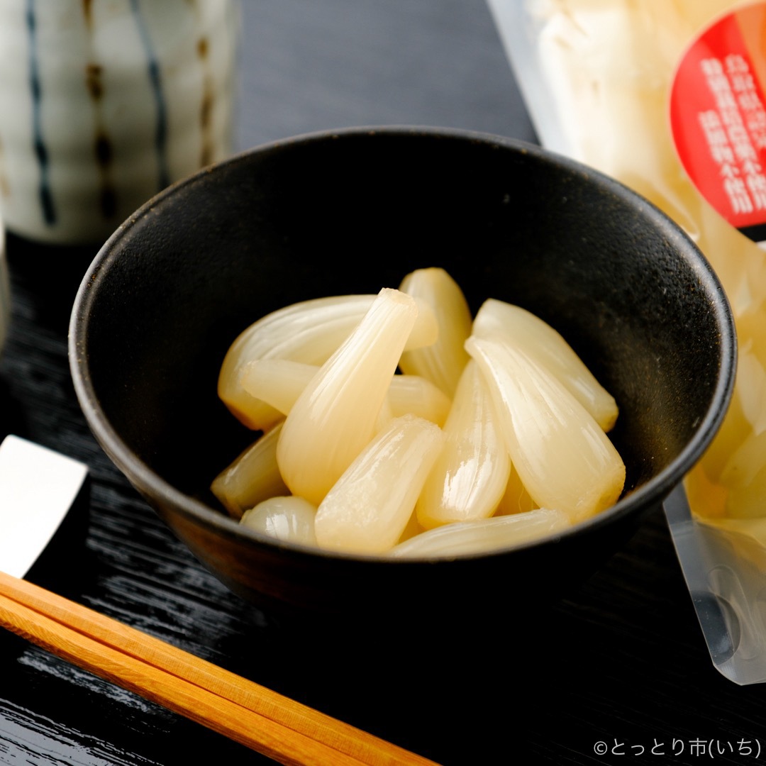 農薬不使用らっきょうの甘酢漬 160g×5袋【砂丘農園】 ｜鳥取の特産品お