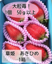 大粒苺【章姫(あきひめ)SP】450g 鳥取いちご とみハウス ｜鳥取の特産