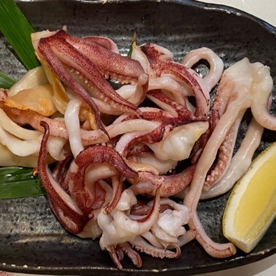 朝獲れ！新鮮白イカ 2kg以上【 4～10杯 】【さかなや新鮮組】 ｜鳥取の