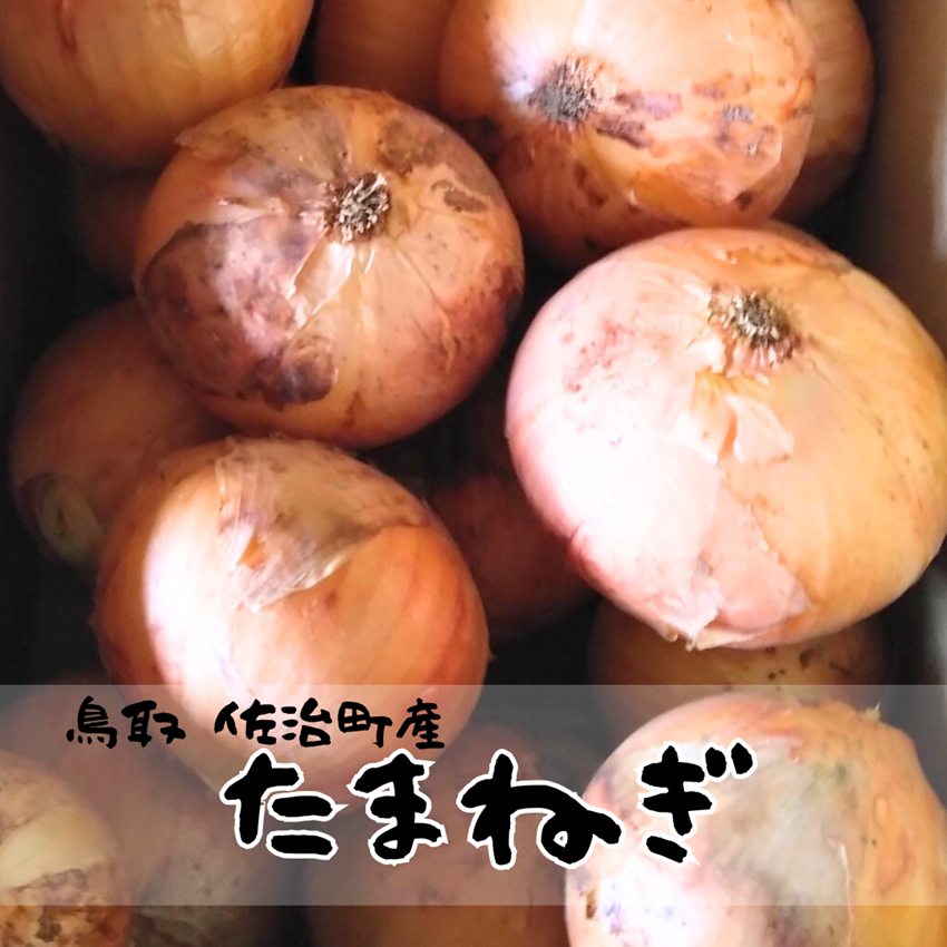 栽培期間中無農薬】たまねぎ マルスミ農園 ｜鳥取の特産品お取り寄せ
