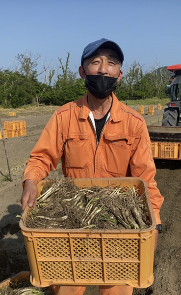 橋本さんちの砂丘らっきょう甘酢漬け800g ｜鳥取の特産品お
