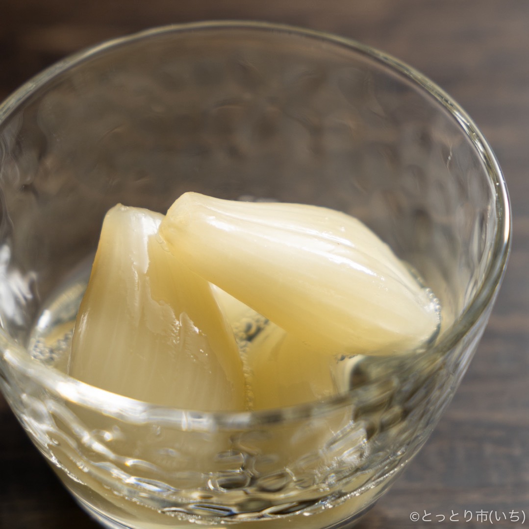 橋本さんちの砂丘らっきょう甘酢漬け800g【まるこう橋本農園】 ｜鳥取