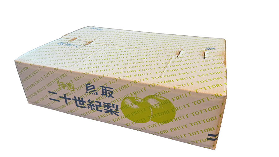 2025年度終了】特選 二十世紀梨 5kg【梨原山荘】 ｜鳥取の特産品お