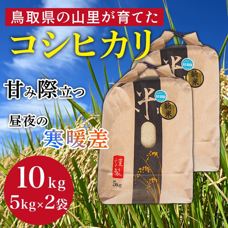 ≪新米≫【順次お届け/予約】令和8年産（玄米10kg）コシヒカリ5kg×2袋