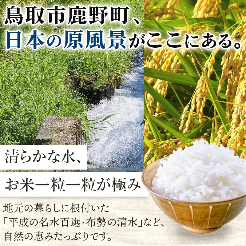 ≪新米≫【順次お届け/予約】令和8年産（玄米10kg）コシヒカリ5kg×2袋