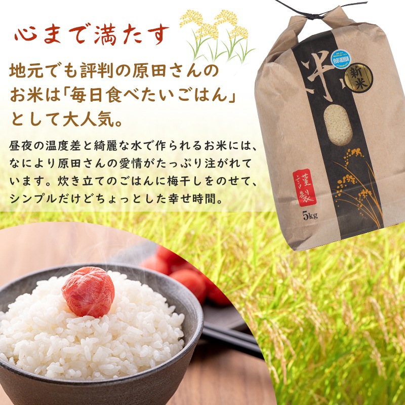 ≪新米≫【順次お届け/予約】令和8年産（玄米10kg）コシヒカリ5kg×2袋