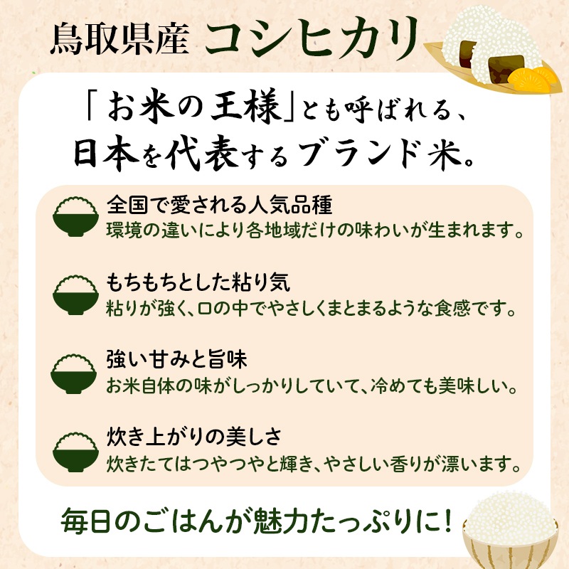 ≪新米≫【順次お届け/予約】令和8年産（玄米10kg）コシヒカリ5kg×2袋