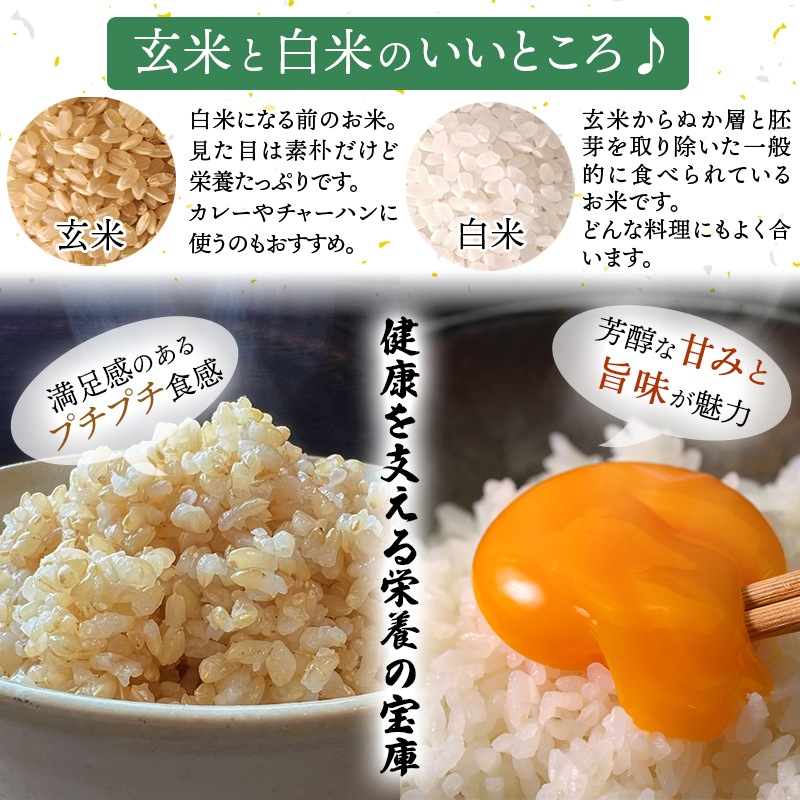 ≪新米≫【順次お届け/予約】令和8年産（玄米10kg）コシヒカリ5kg×2袋