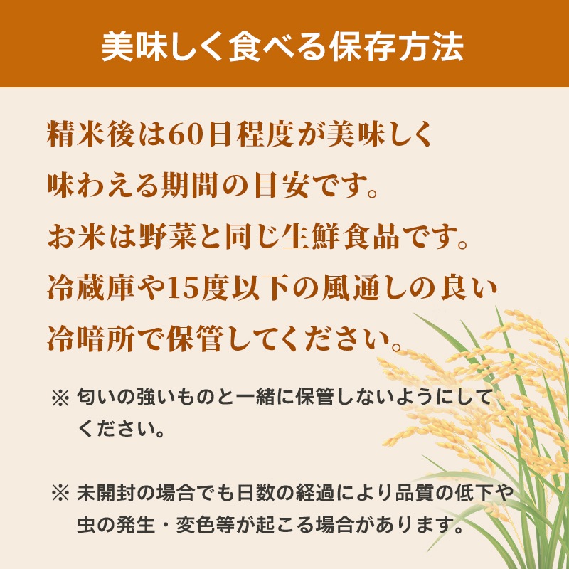 ≪新米≫【順次お届け/予約】令和8年産（玄米10kg）コシヒカリ5kg×2袋