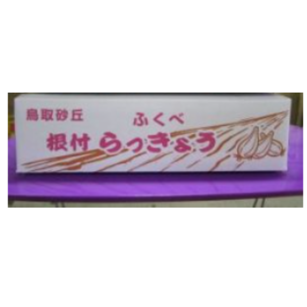 特別栽培根付らっきょう Mサイズ3Kg 【山根農園】 ｜鳥取の特産品お