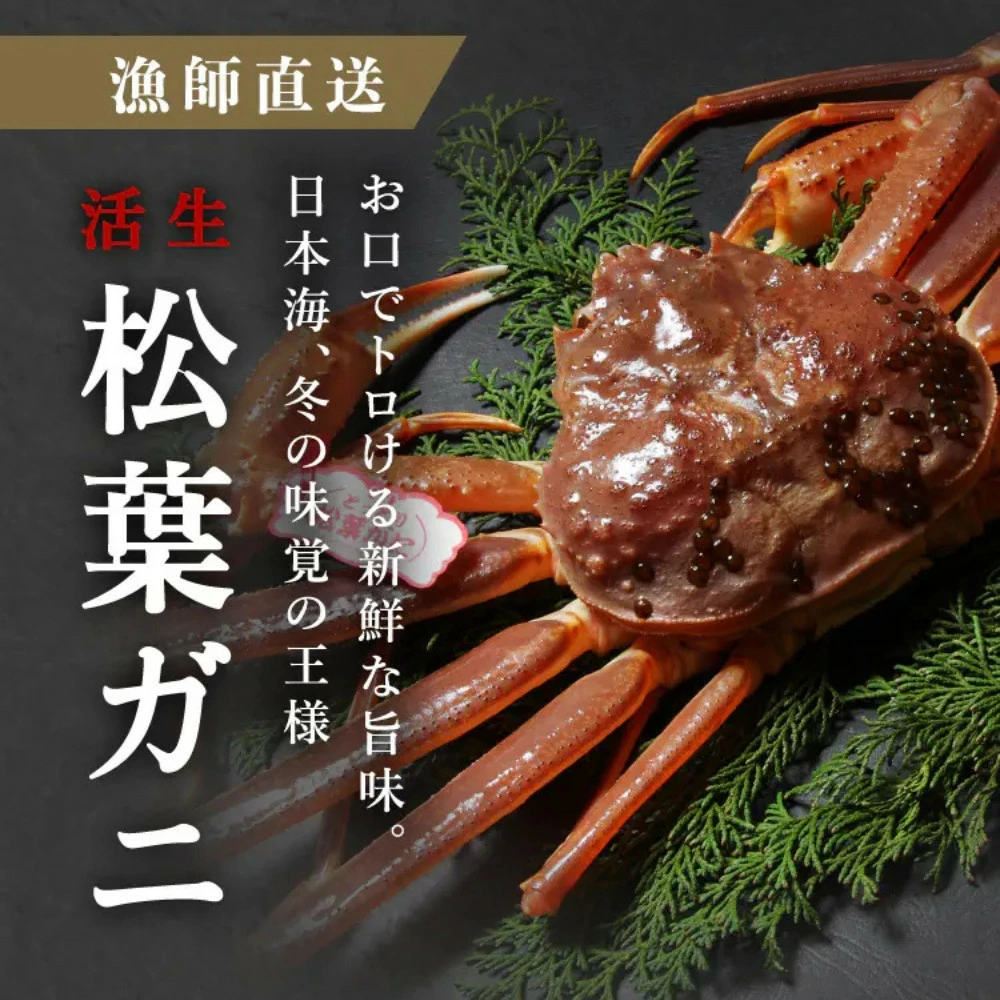 いちご様23キャメルブランドタグ付き