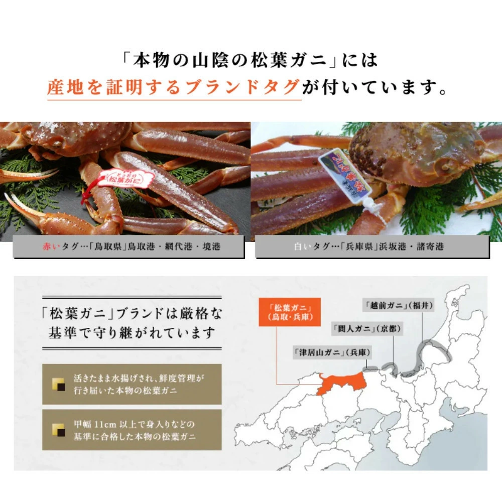 いちご様23キャメルブランドタグ付き