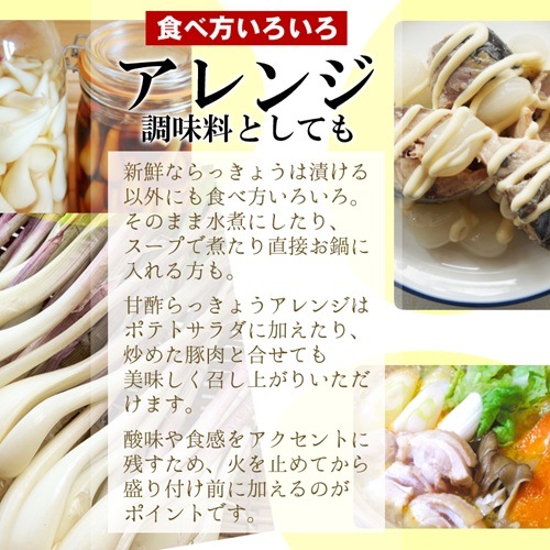 ☆本年ラスト 専用酢 生らっきょう3kg セット 鳥取県産（根茎砂付き