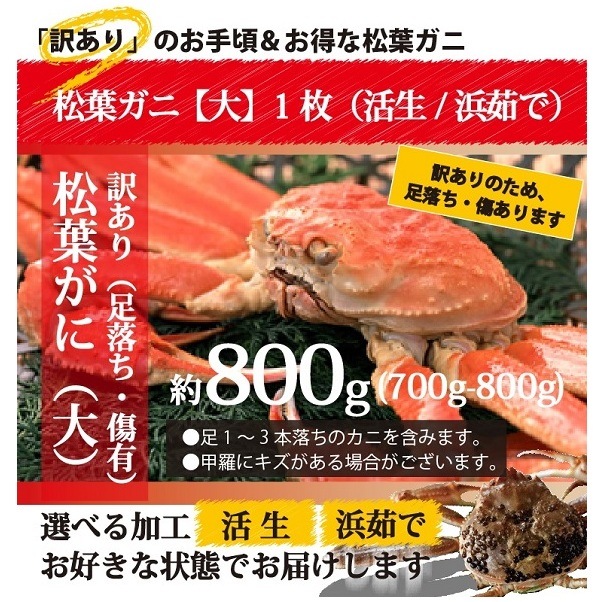 ☆訳あり☆ お得な松葉ガニ（ 大サイズ 700g - 800g）【生／茹で