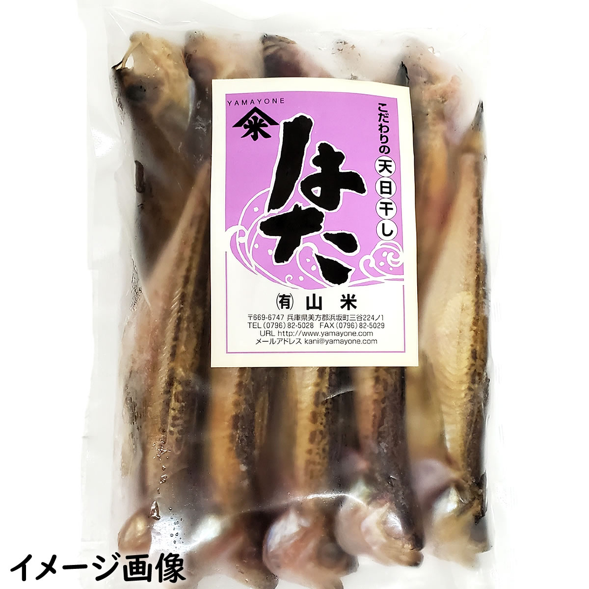 干しハタハタ（冷凍）特大サイズ 10匹入り 【かにの山米】 ｜鳥取の