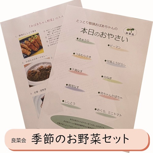 季節のお野菜おまかせセット（10品）冷蔵【良菜会】 ｜鳥取の特産品お