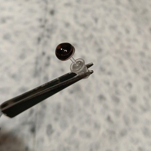 希少黒珊瑚のピアス【岡田黒珊瑚工房】 ｜鳥取の特産品お取り寄せ通販