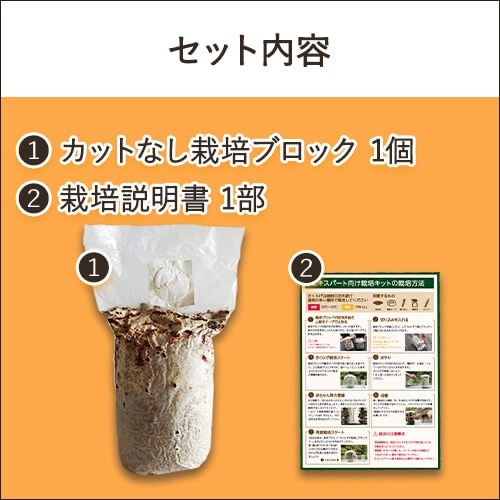 自然栽培 １〜１０ エキスパート向け｜1からはじめる純国産きくらげ栽培キット
