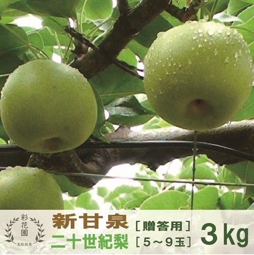 梨花さん専用 新甘泉 & 二十世紀梨 [贈答用・のし可] 3kg【彩花園（さいかえん