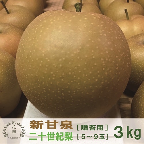 超希少 カンボジア産 黄花梨 新甘泉 & 二十世紀梨 [贈答用・のし可] 3kg【彩花園（さいかえん