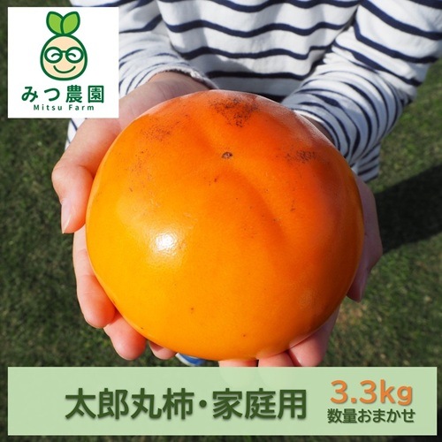 2026年度】太郎丸柿 家庭用 予約3.3kg(数量お任せ）【みつ農園