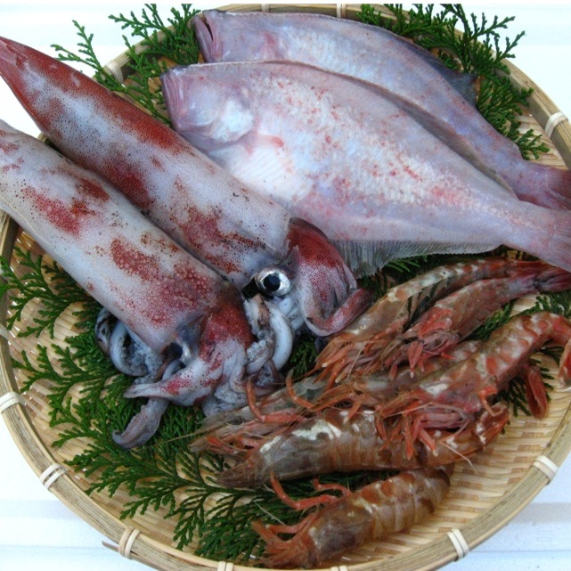 朝獲れ直送！旬の天然魚セット(2人さま)【さかなや新鮮組】 ｜鳥取の