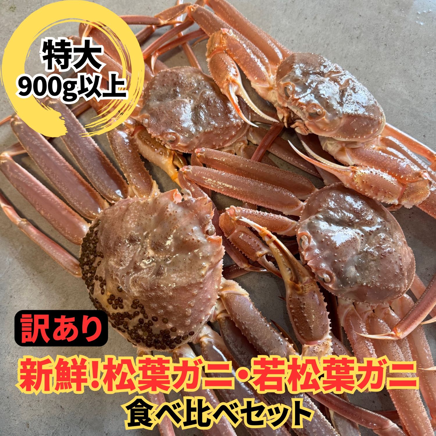 訳あり！松葉ガニ・若松葉ガニセット【松葉ガニ(特大・1枚)＆若