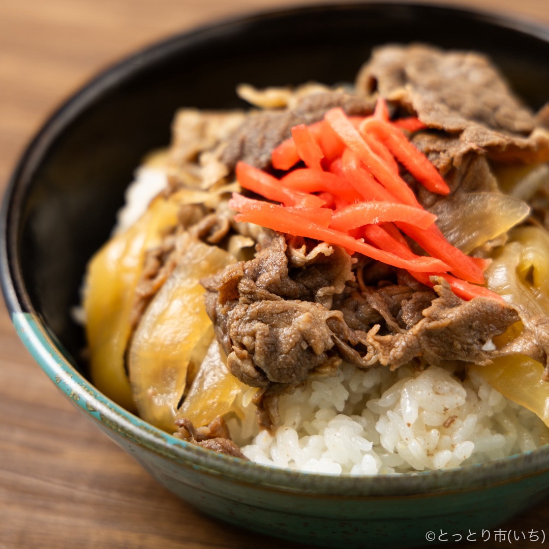 牛丼 とりちく総菜セット(牛丼の素130g×3、和のこだわりハンバーグ130g×3