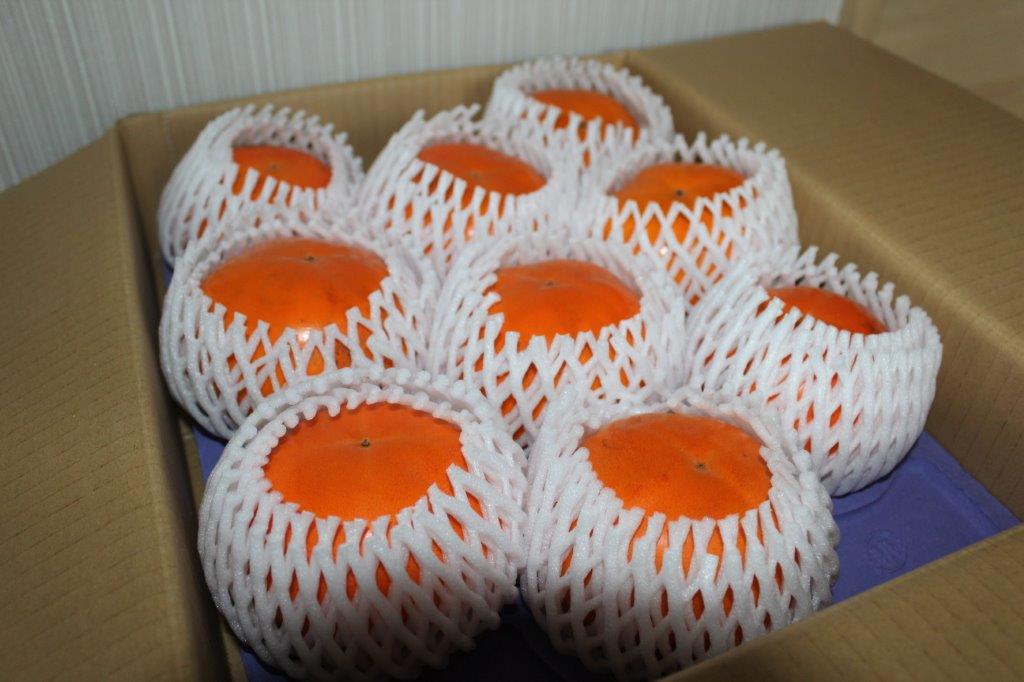 R7年終了】鳥取産 太郎丸柿(宗田早生)3.5kg(大玉8~12個入)【進物用