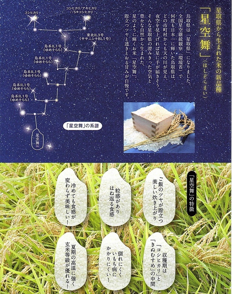令和7年産 鳥取県産星空舞2kg【米村商店】（精米） ｜鳥取の特産品
