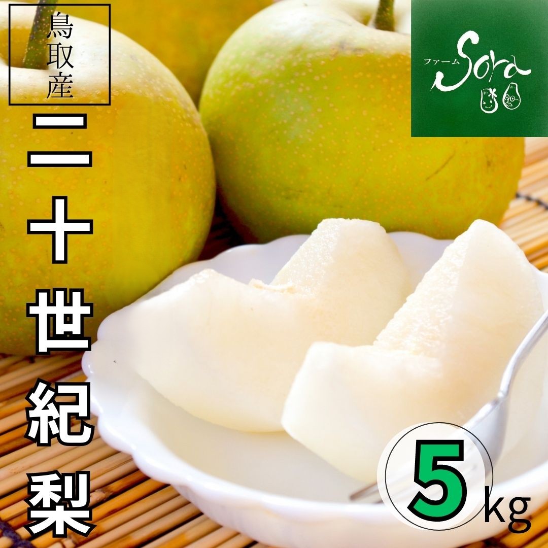 二十世紀梨 秀品 5kg（14～18玉）【 ファーム SORA 】 ｜鳥取の