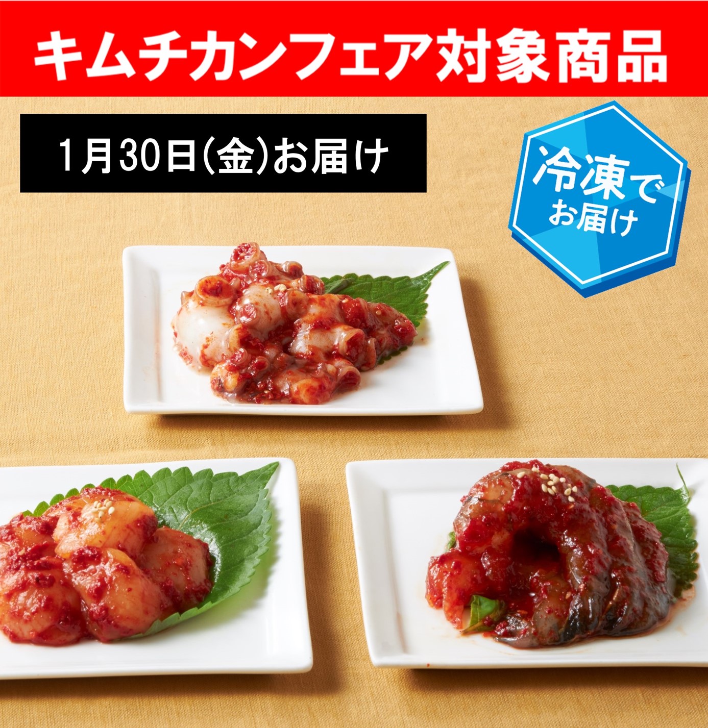 【キムチカンフェア】こだわり定期便