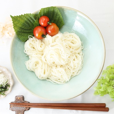 【益子焼】 釉薬シリーズ おしゃれな 麺鉢 どんぶり シンプル浅めがおしゃれ 単品1個