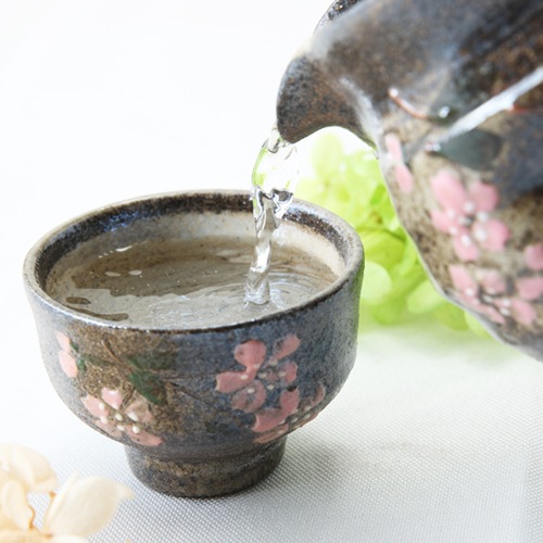 【益子焼】 酒器 酒器セット 片口酒入れ おちょこ お猪口 炭化焼 さくら桜模様【片口酒入れ1個・ぐい呑2個のセット】