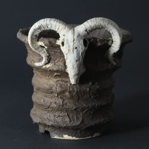 4.3号鉢 高さ約11.5cm 植木鉢 陶器鉢 塊根植物 アガベ サボテン コーデックス 【GOAT鉢シリーズ】 作家 陶芸家 横山貴史作 一点物