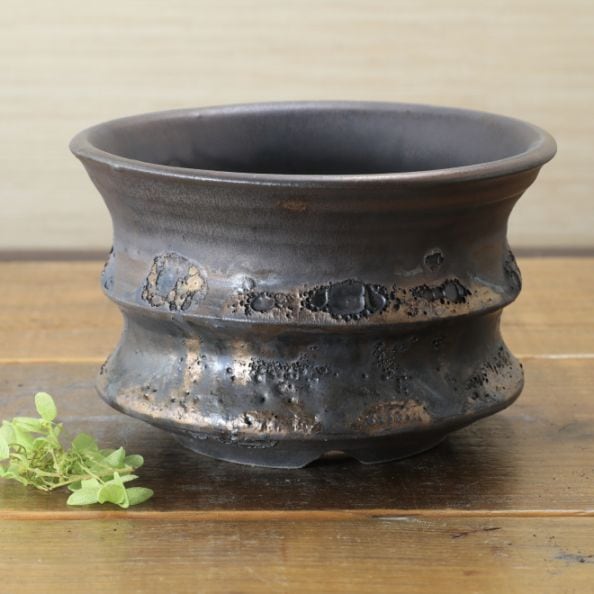 5号鉢 高さ約9.7cm 植木鉢 陶器鉢 塊根植物 コーデックス アガベ サボテン 【銀河鉢クレーター】 作家 陶芸家 横山雄一作 一点物