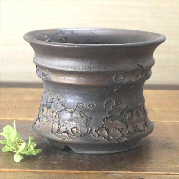 5.3号鉢 高さ約12cm 植木鉢 陶器鉢 塊根植物 コーデックス アガベ サボテン 【銀河鉢クレーター】 作家 陶芸家 横山雄一作 一点物