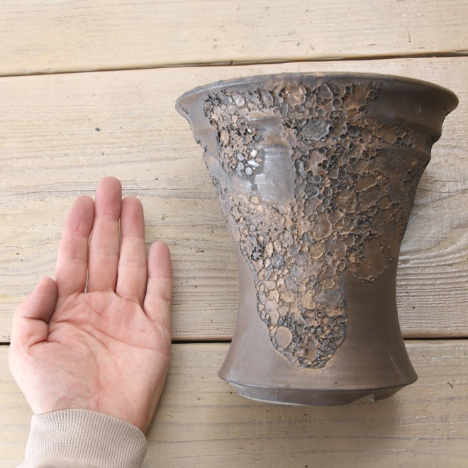 【益子焼】5.5号鉢 植木鉢 陶器鉢 オペルクリカリアパプキス 灌木系塊根植物 アガベ 【NEW銀河鉢クレーター・Black&Gold】 高さ約17cm 作家 陶芸家 横山雄一作 一点物