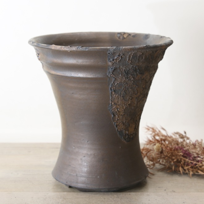 【益子焼】5.5号鉢 植木鉢 陶器鉢 オペルクリカリアパプキス 灌木系塊根植物 アガベ 【NEW銀河鉢クレーター・Black&Gold】 高さ約17cm 作家 陶芸家 横山雄一作 一点物