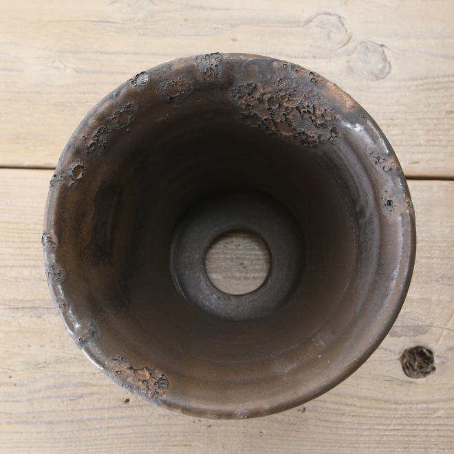 【益子焼】5.5号鉢 植木鉢 陶器鉢 オペルクリカリアパプキス 灌木系塊根植物 アガベ 【NEW銀河鉢クレーター・Black&Gold】 高さ約17cm 作家 陶芸家 横山雄一作 一点物