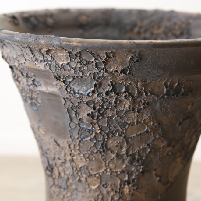 【益子焼】5.5号鉢 植木鉢 陶器鉢 オペルクリカリアパプキス 灌木系塊根植物 アガベ 【NEW銀河鉢クレーター・Black&Gold】 高さ約17cm 作家 陶芸家 横山雄一作 一点物