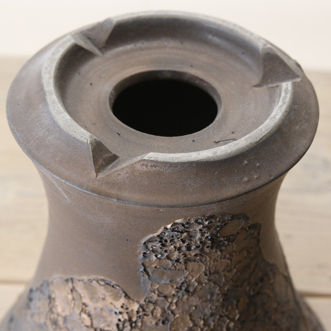 【益子焼】5.5号鉢 植木鉢 陶器鉢 オペルクリカリアパプキス 灌木系塊根植物 アガベ 【NEW銀河鉢クレーター・Black&Gold】 高さ約17cm 作家 陶芸家 横山雄一作 一点物