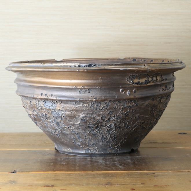 11.1号鉢 高さ約17cm 植木鉢 陶器鉢 塊根植物 コーデックス 【銀河鉢クレーター】 作家 陶芸家 横山雄一作 一点物